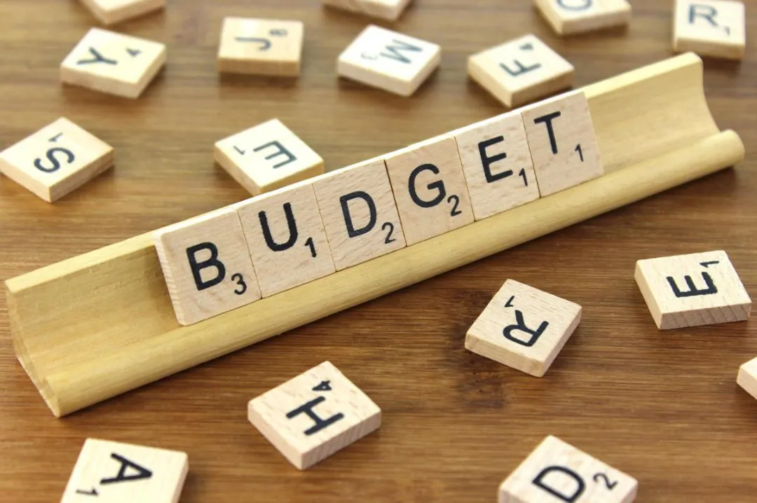 Budget 2017: A Tough Year Ahead