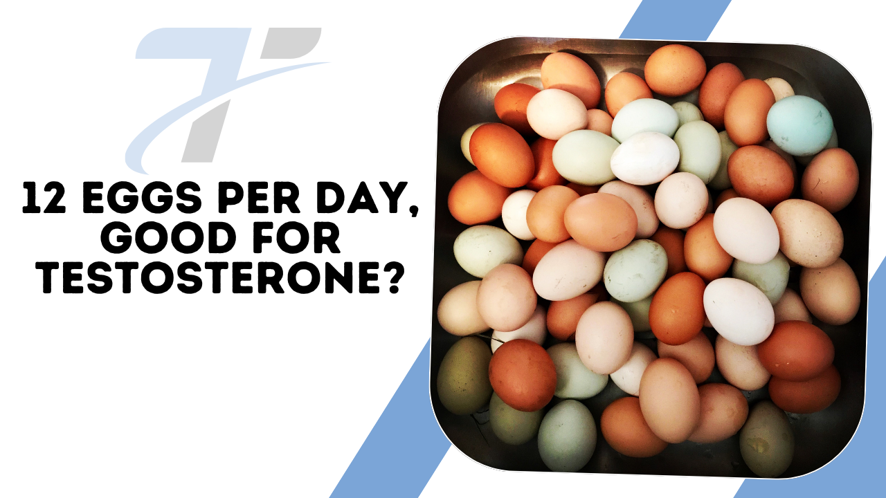 can-eating-12-eggs-per-day-increase-testosterone