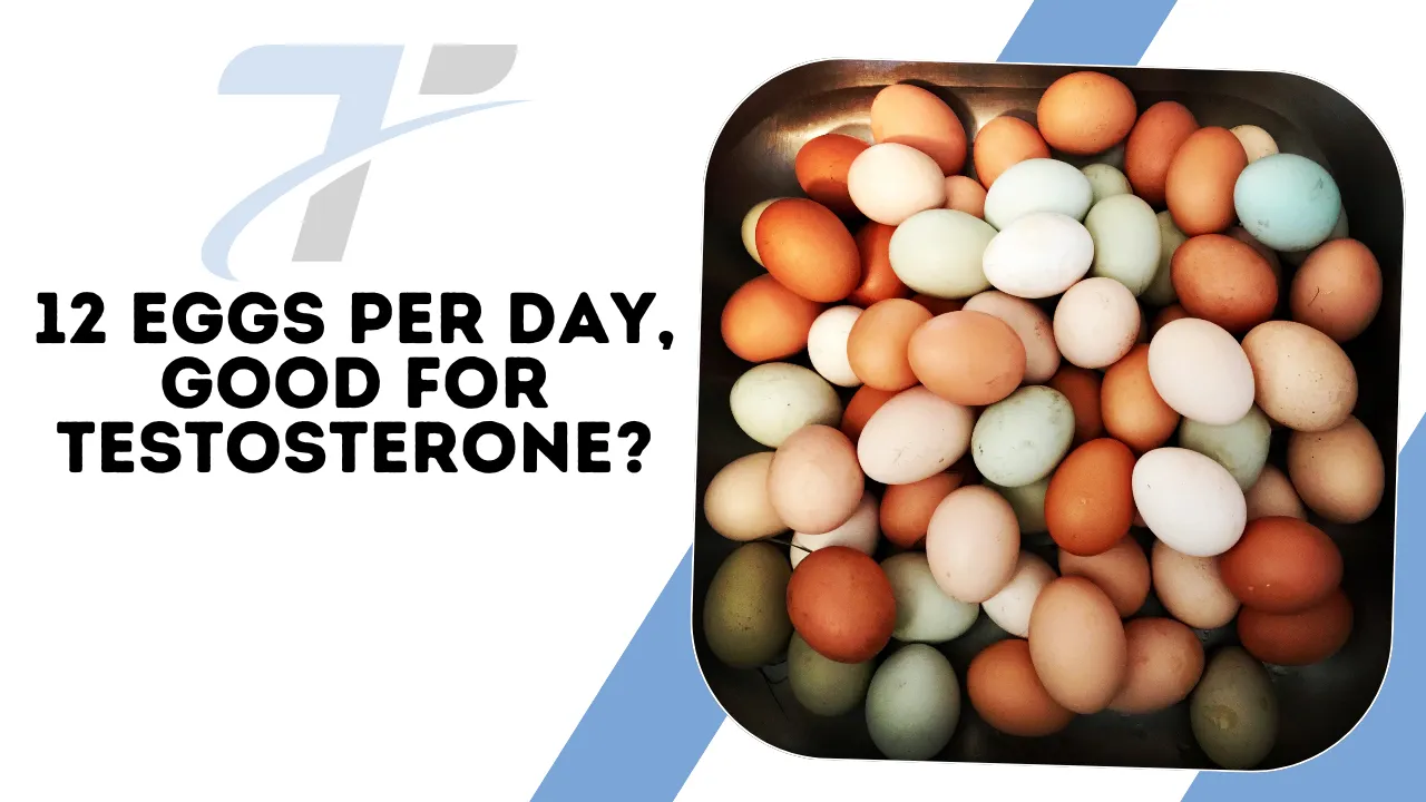 Can eating 12 eggs per day increase testosterone?