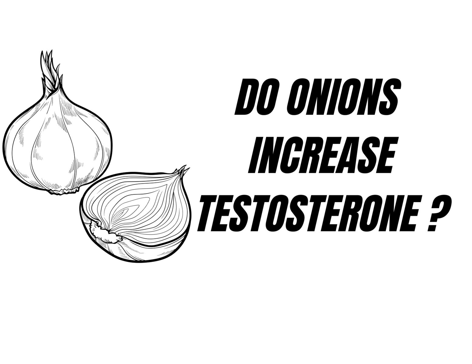 Do onions Increase Testosterone