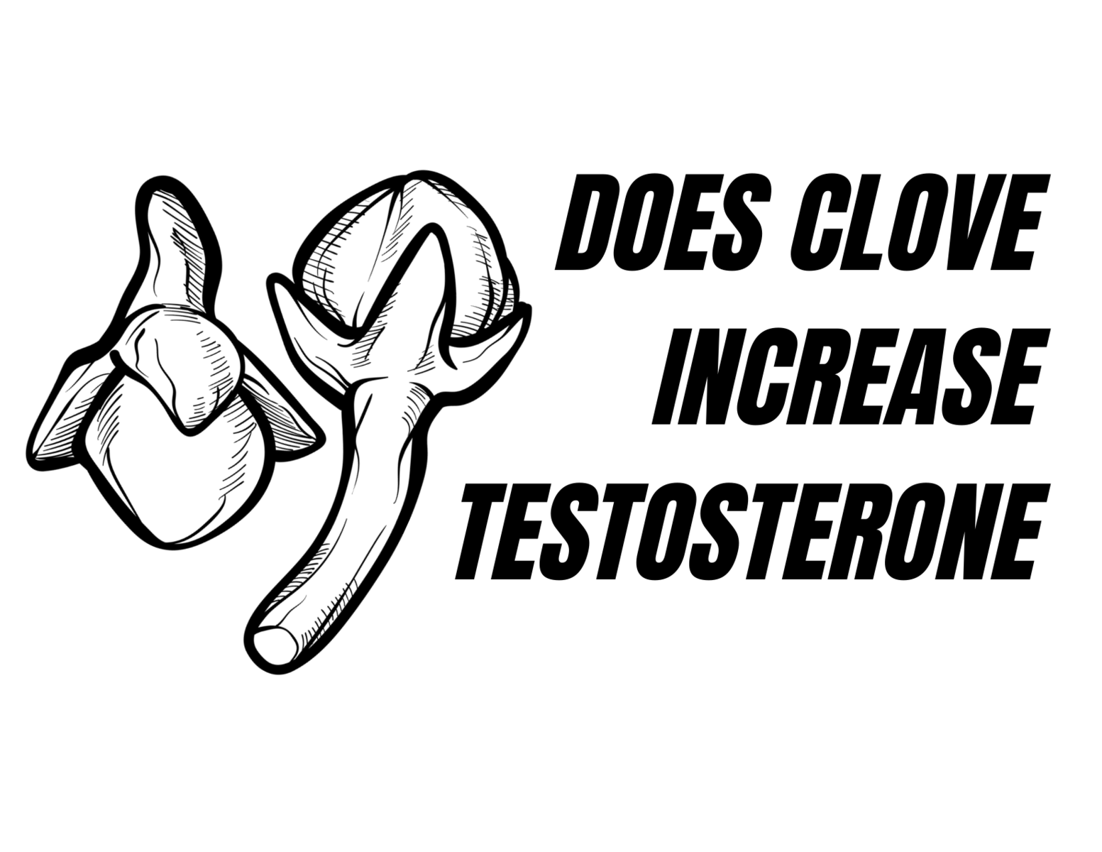 Does clove increase testosterone?