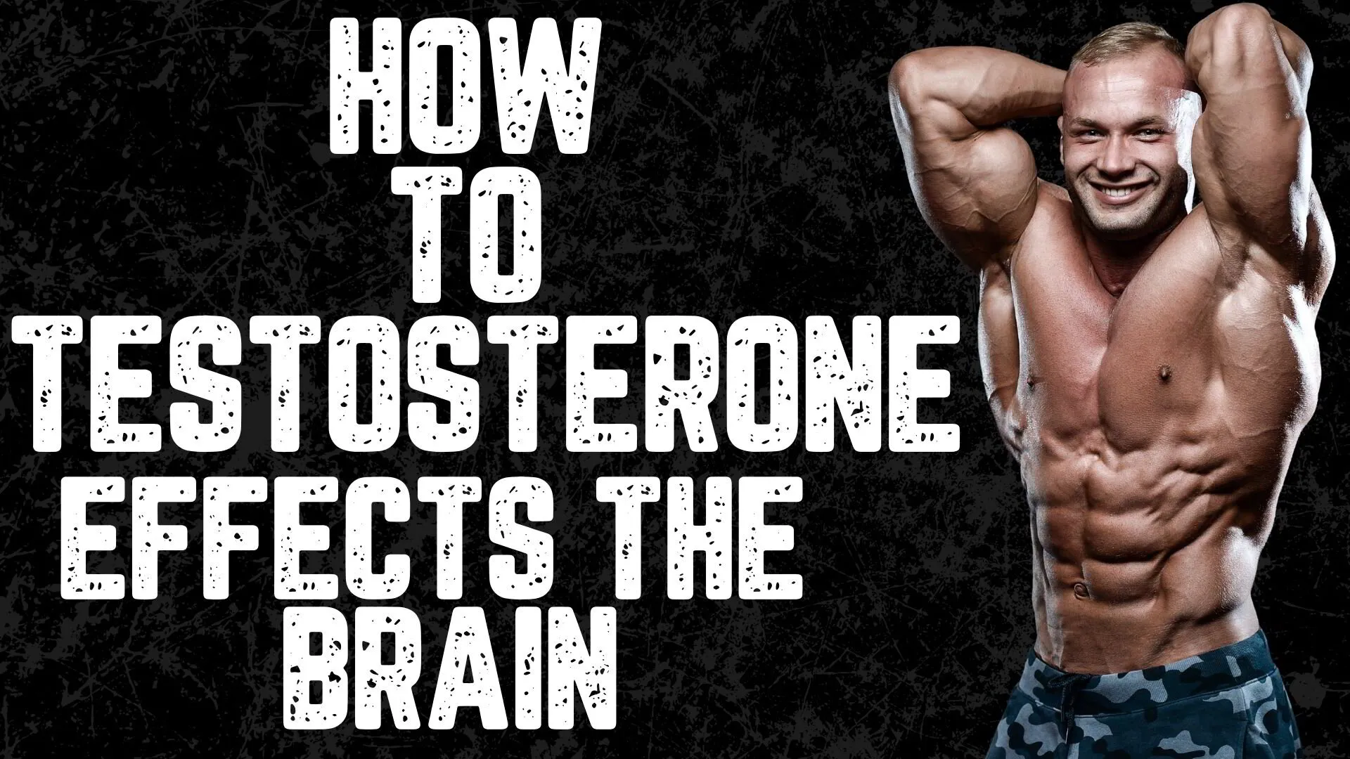 How Testosterone Affects The Brain