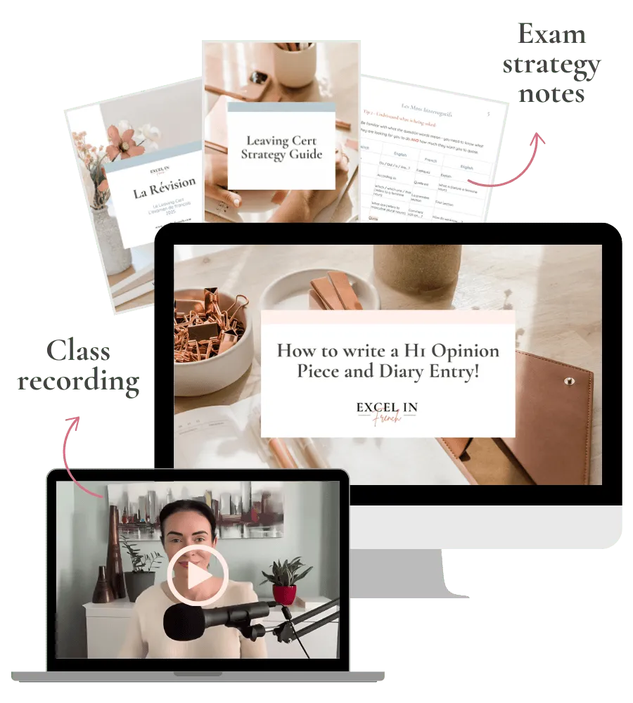 how-to-write-a-h1-opinion-piece-and-diary-entry