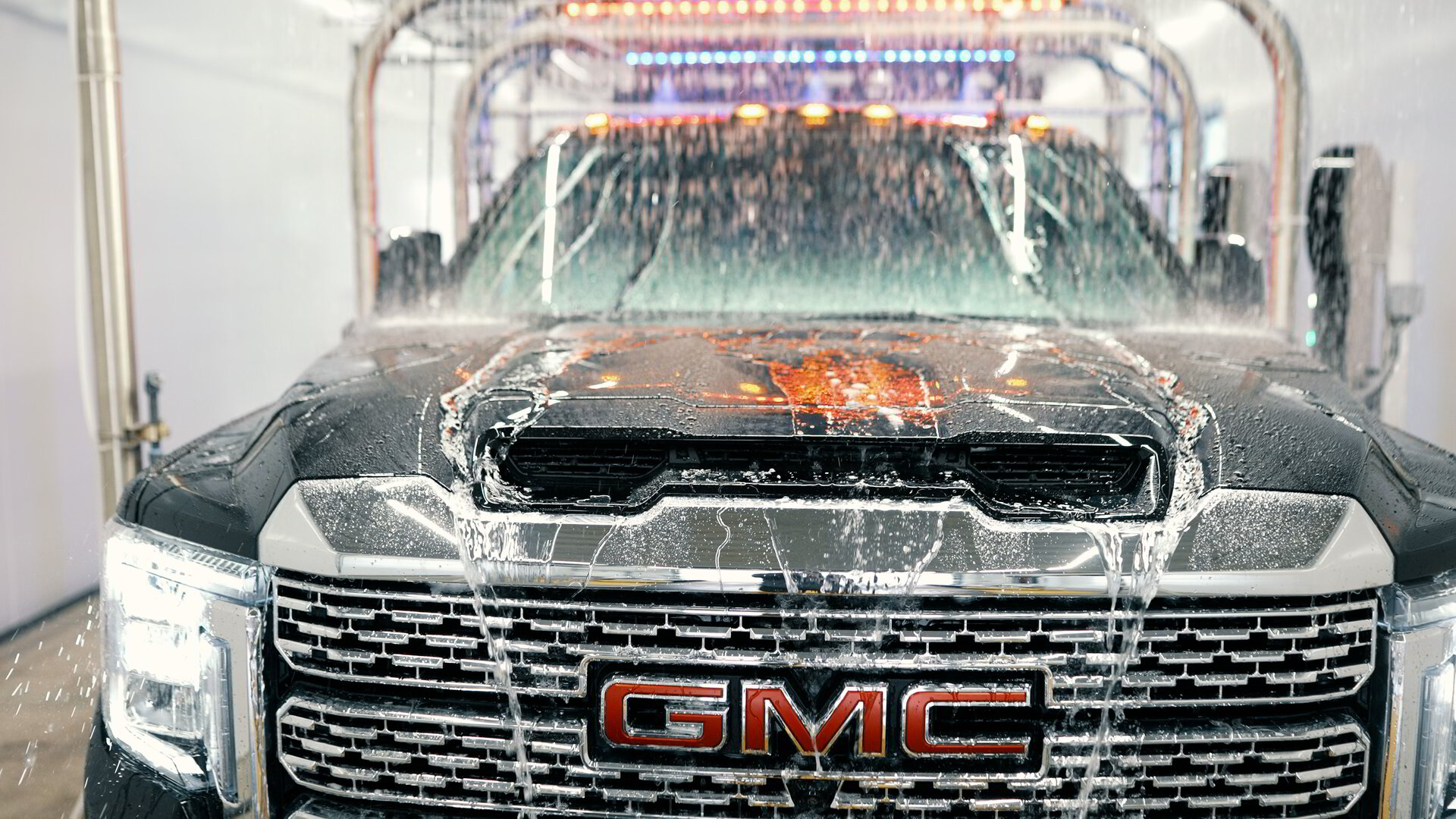 Diamond Waves and Wags Join the Unlimited Club