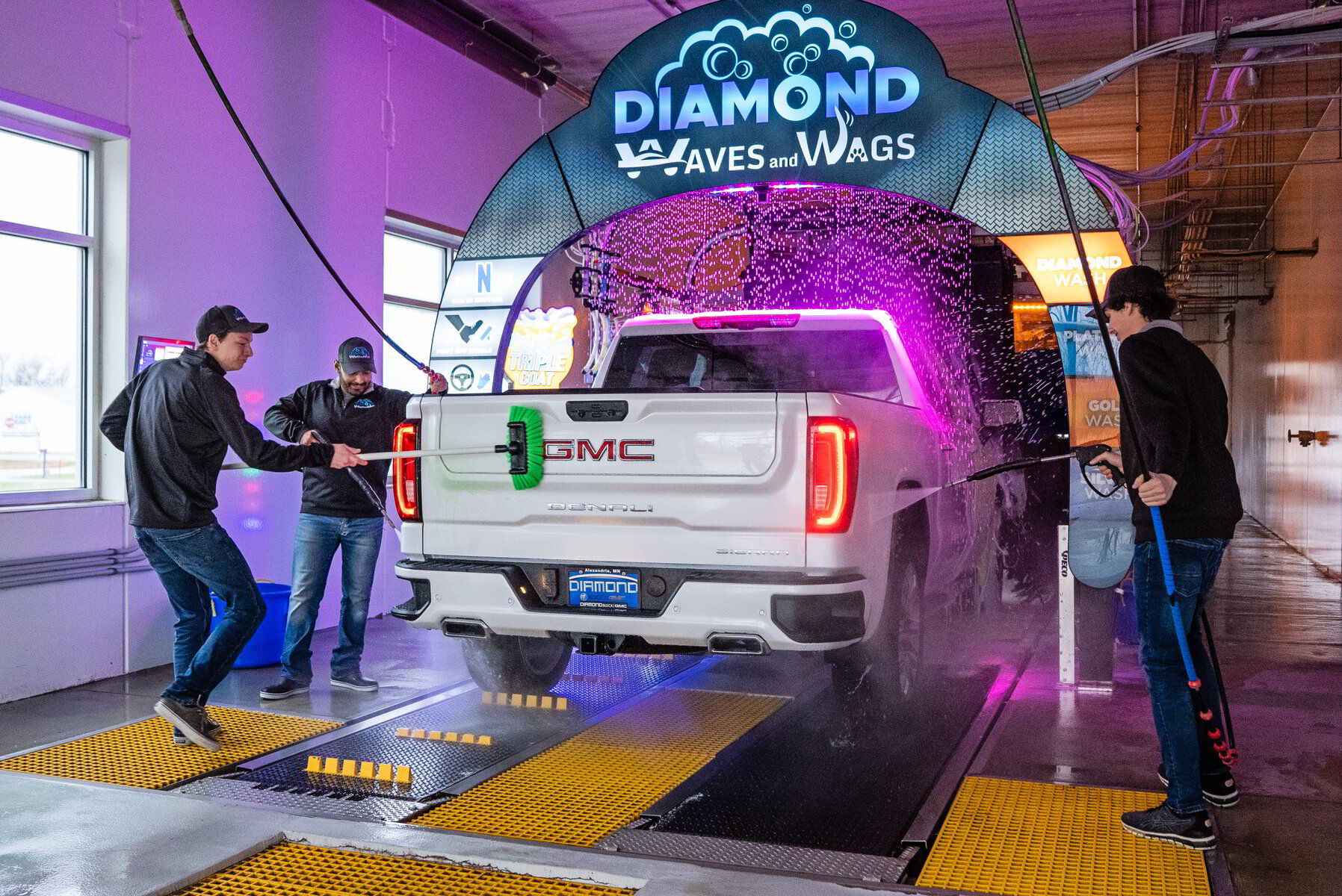 Diamond Waves and Wags Get Your FREE Wash
