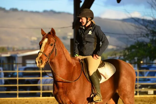 newridingacademy