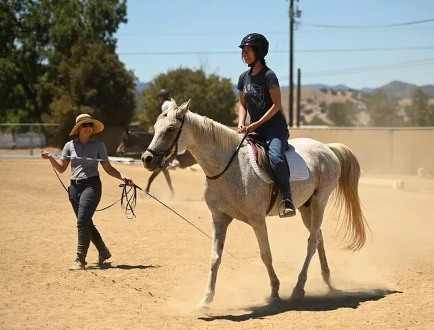 newridingacademy