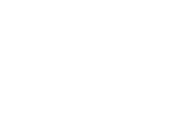 sanya hinchcliff logo