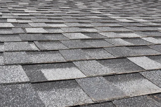 Shingle Roofing Company in Fort Myers FL