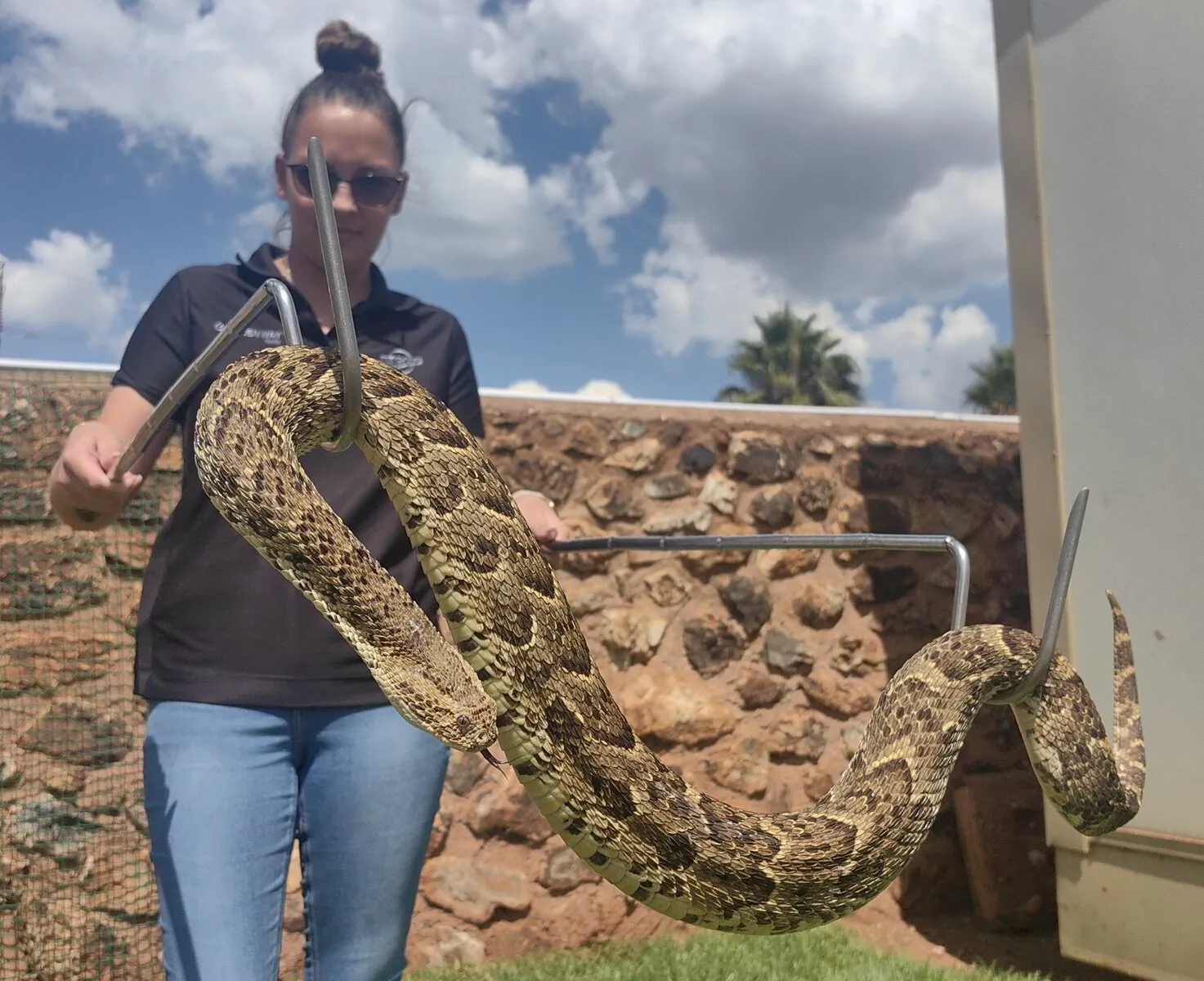 HIGH-RISK WORKPLACES FOR SNAKES: WHERE SNAKE RISK ASSESSMENTS ARE CRITICAL