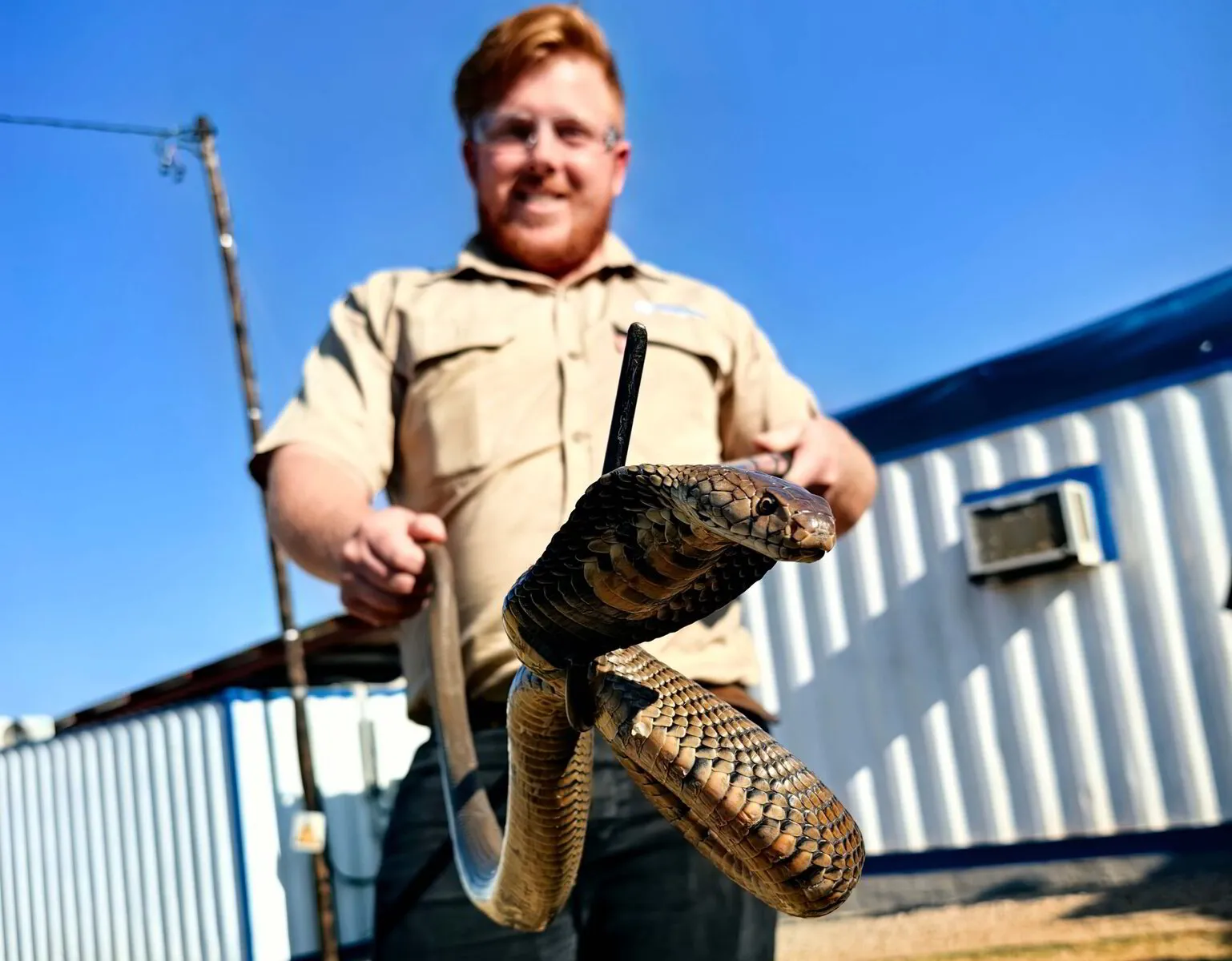 Worker Snake SNAKEBITE PREVENTION AND CORPORATE SNAKE TRAINING