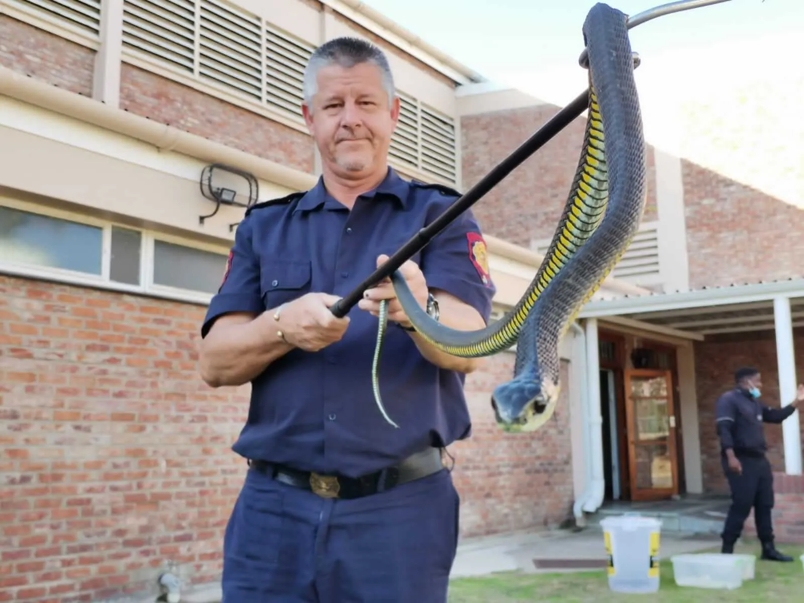 Snake Identification, Handling & Snakebite Treatment Training Courses