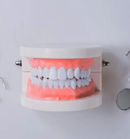 Partial Denture Equipment