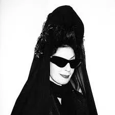 Diane Pernet A shaded view on fashion