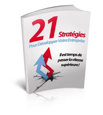 21 Stratégies (DLP)