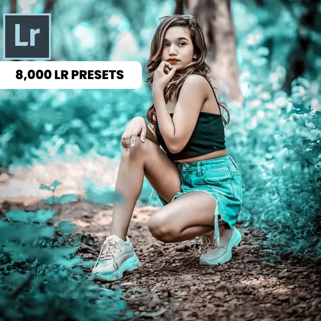 8000 ADOBE PHOTOSHOP PRESETS