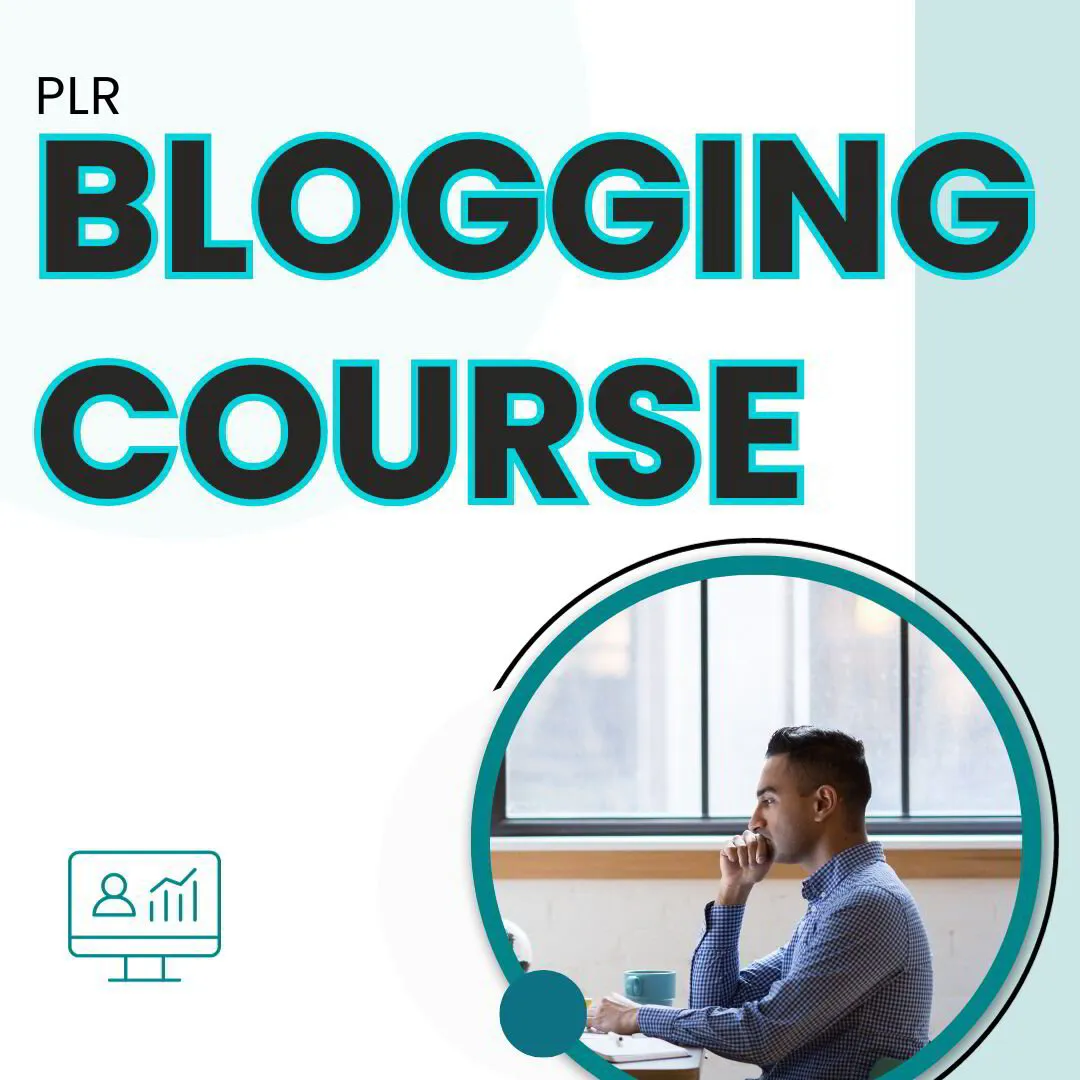 Plr Blogging Video Course-Linkedin Learning success