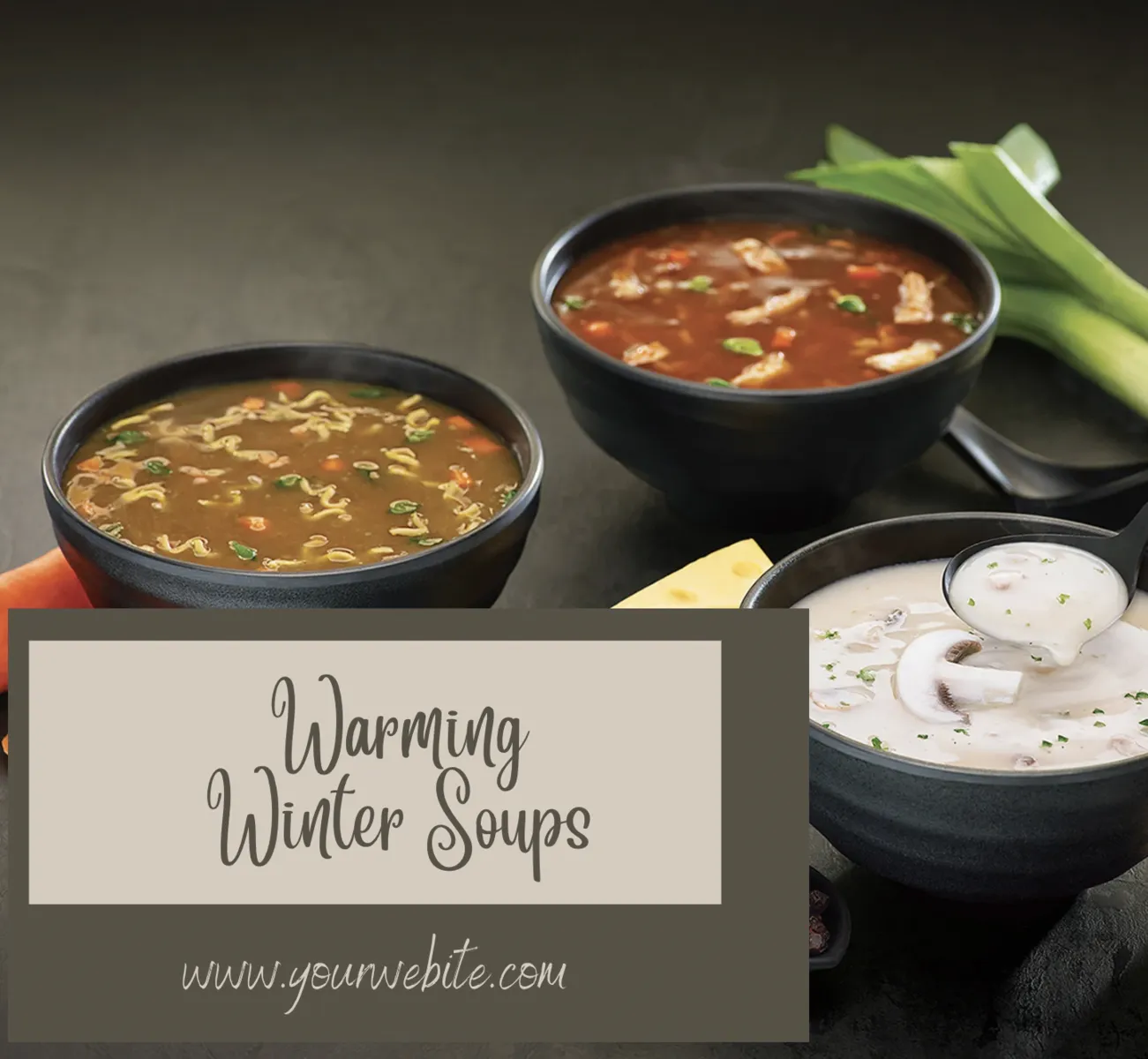DFY Warming Winter Soups Ebook Template Assets
