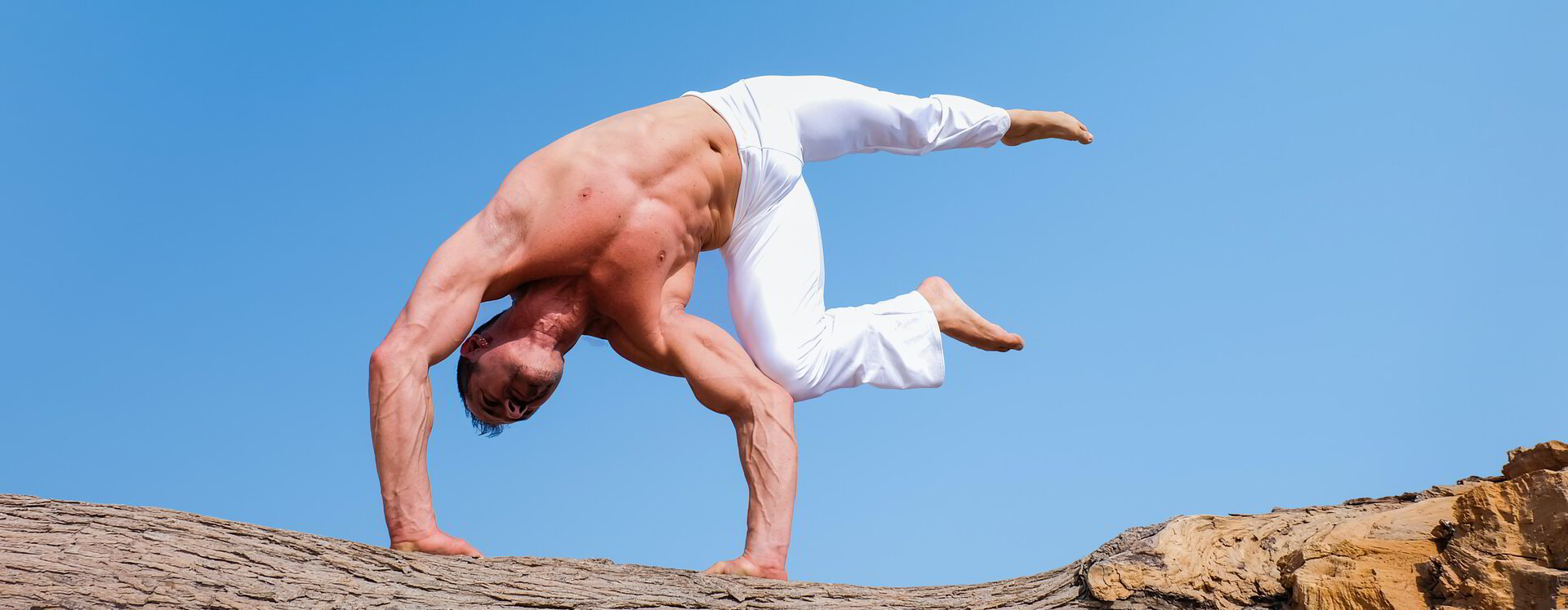 Indoor Rowing and Yoga The Perfect Workout Combo?