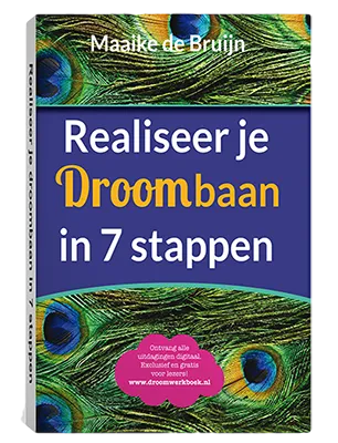 Boek "Realiseer je Droombaan in 7 stappen"