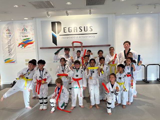 Taekwondo School in Fremont | Pegasus Taekwondo After School | Fremont, CA