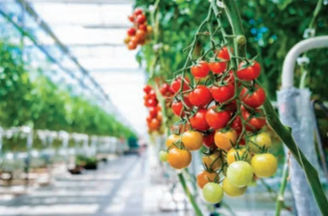 Mobilni BIO Kuleri Evaporativni Rashlađivači svih kapaciteta | Rashladi ...