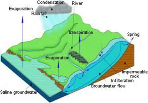 Understanding Groundwater: A Brief Overview