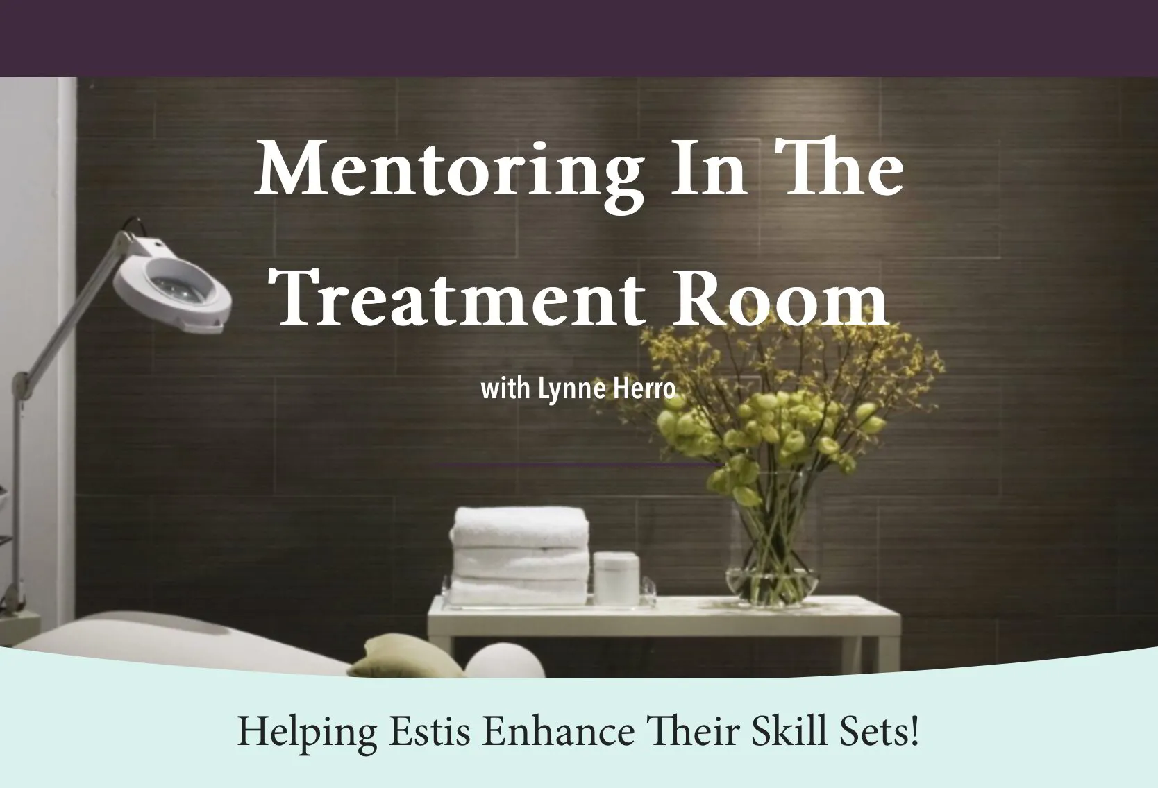 Treatment Room Mentoring (12mo)