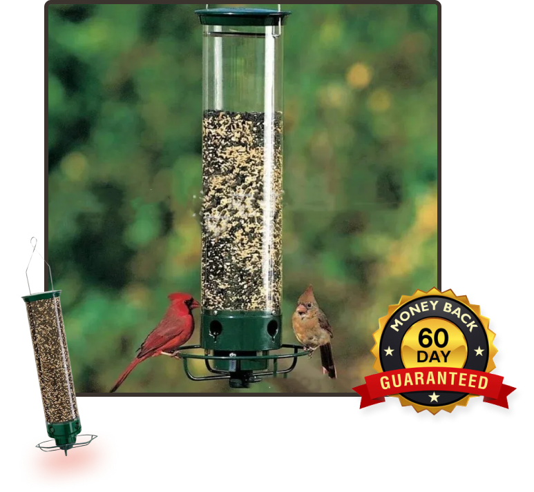 Nature's Delight Bird Feeder