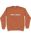 'Team Jesus' Unisex Sweater