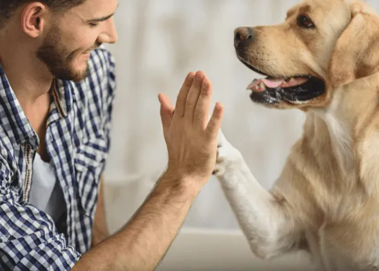 Mann und Hund geben sich High-Five