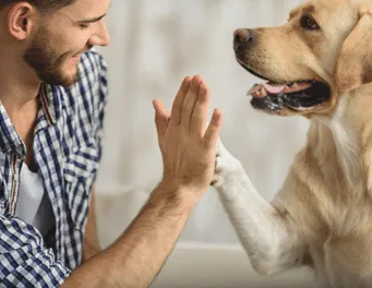 Mann und Hund geben sich High-Five