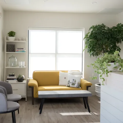 Bright health clinic reception with a yellow sofa, chairs, and plants by a large window.