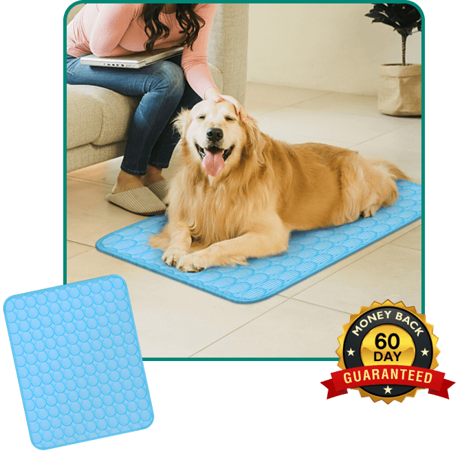 Cool Paws Dog Cooling Pad