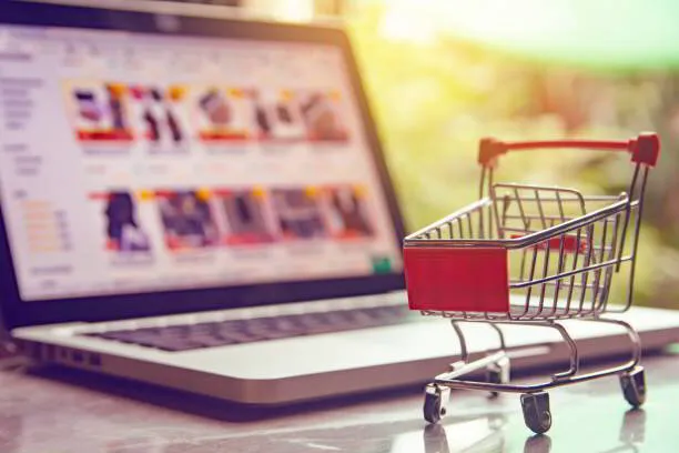 E-Commerce or Shopping Cart Website