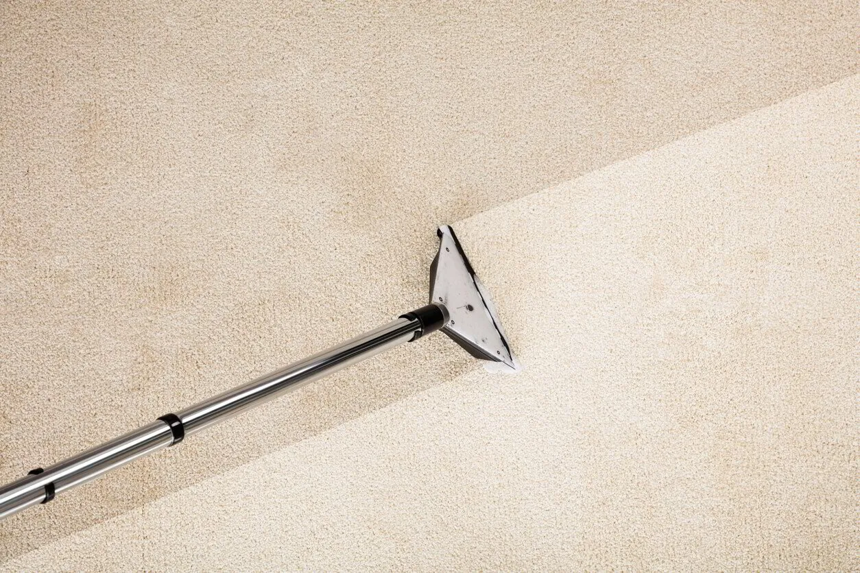 How to restore your carpet from carpet moth damage
