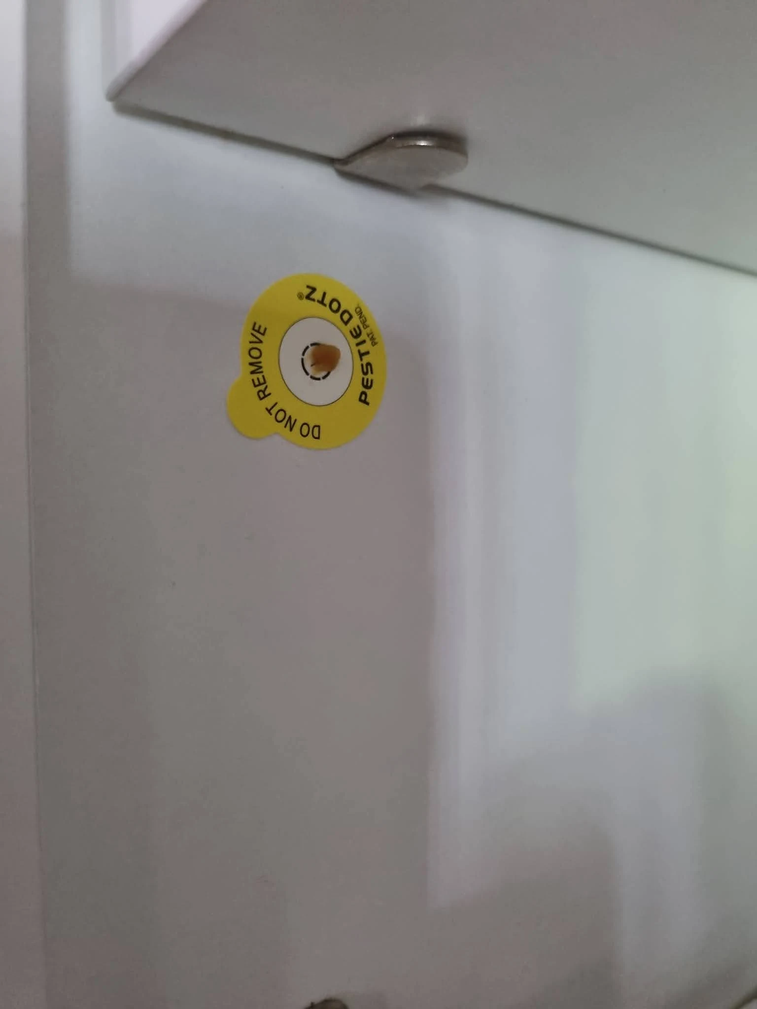 How To Get Rid Of Cockroaches In Apartments And Rental Properties