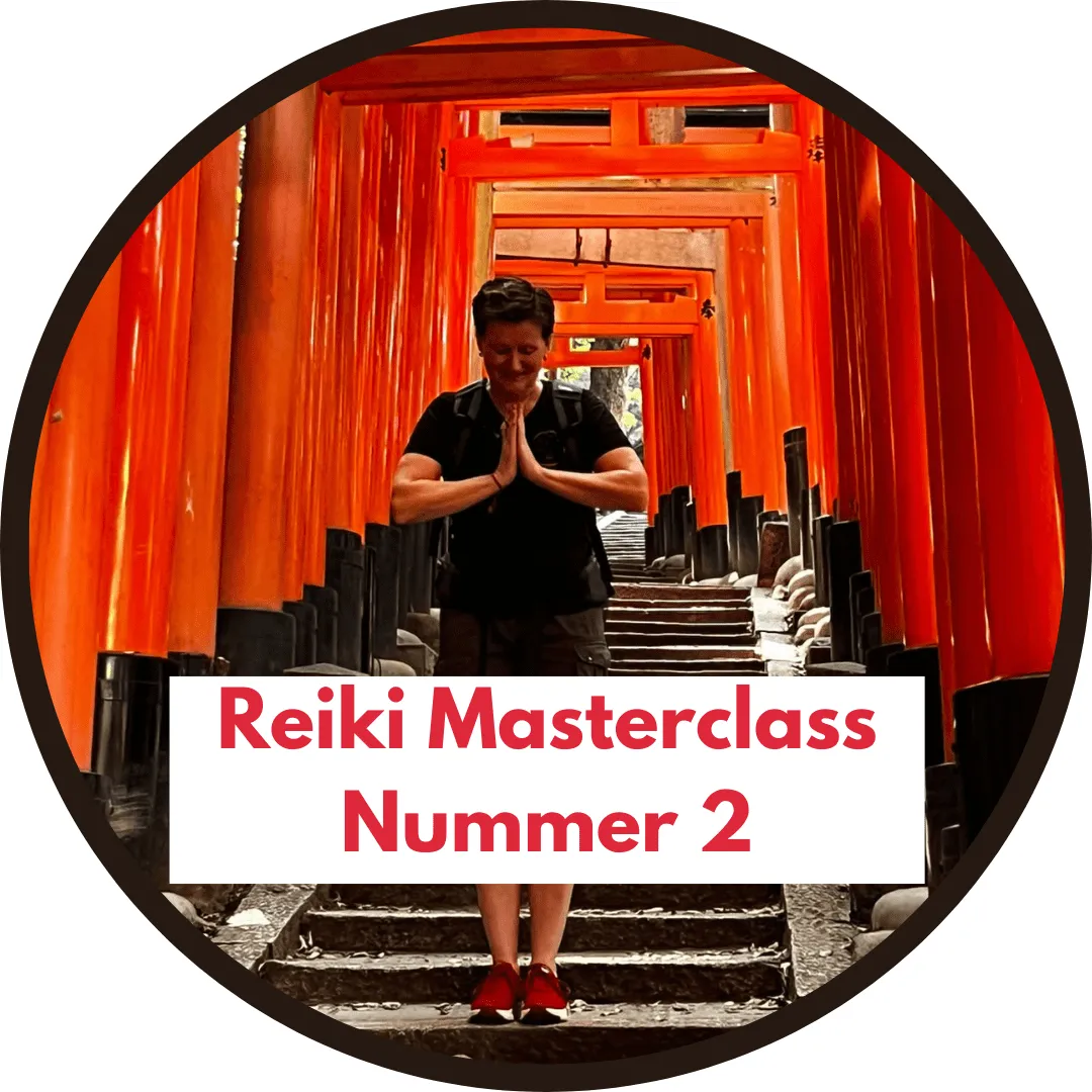Reiki Masterclass nummer 2