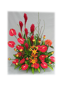 Catalogo - Flower Shop - arreglos florales Guatemala - a domicilio