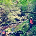 Ladies Mt Sheba Rain Forest Yoga & Hike Wknd - 9-11 Feb 24
