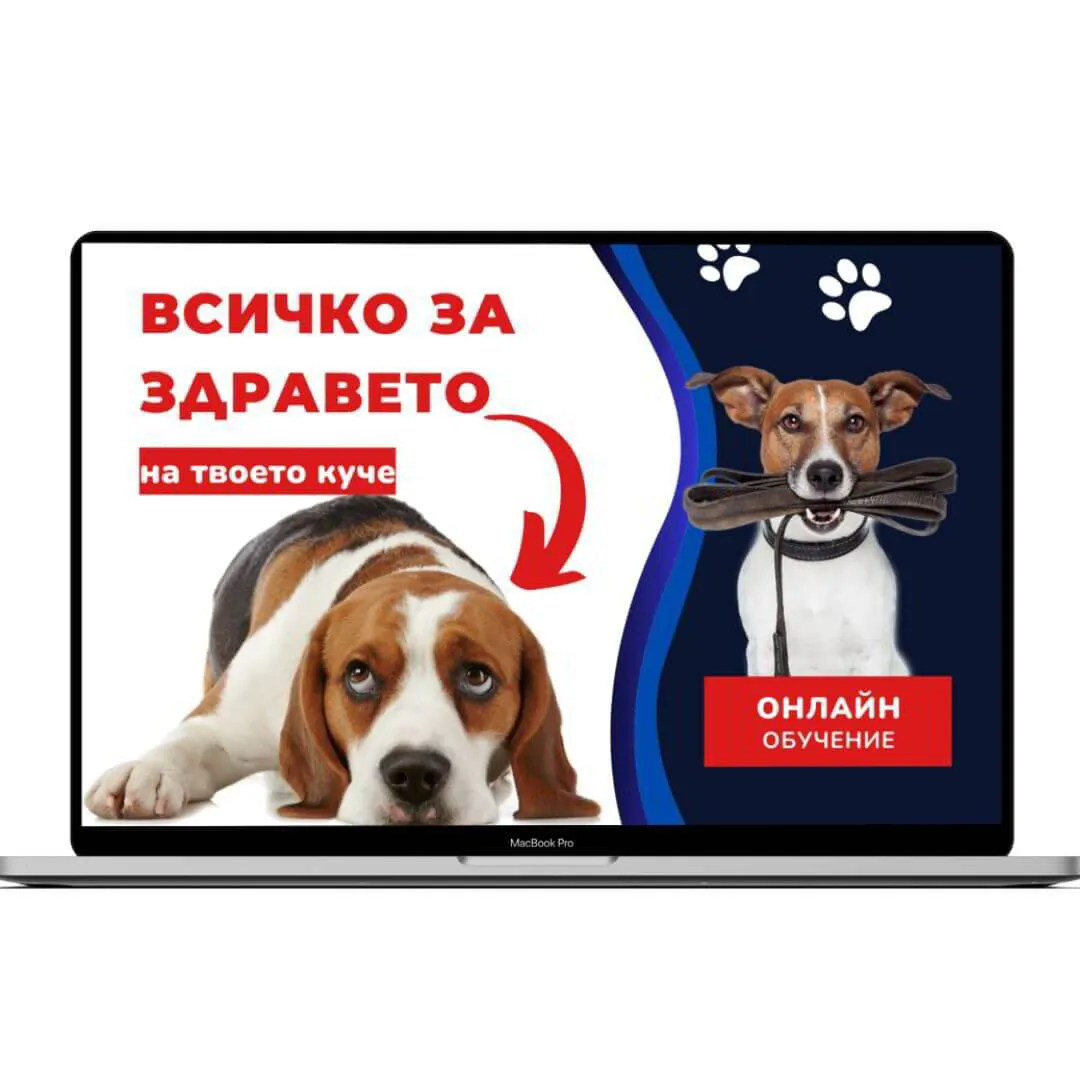 Онлайн Обучение - "Всичко за здравето на кучето" + 6 БОНУСА