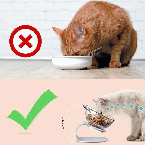 Cat anti-vomit bowl - Kitty Bowl®
