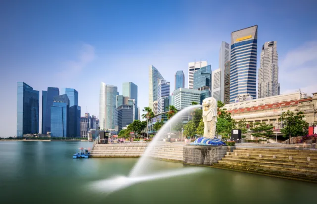 Singapore Business Consultation Services