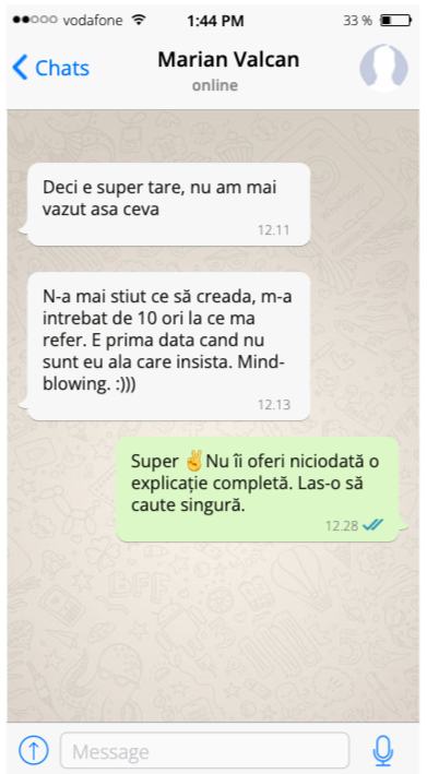 Exemplu conversatie WhatsApp 2