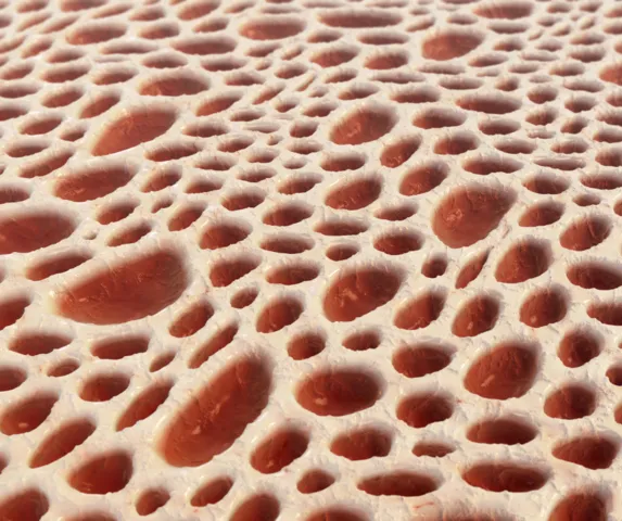 Enhance Bone Health Naturally with Vitamin C