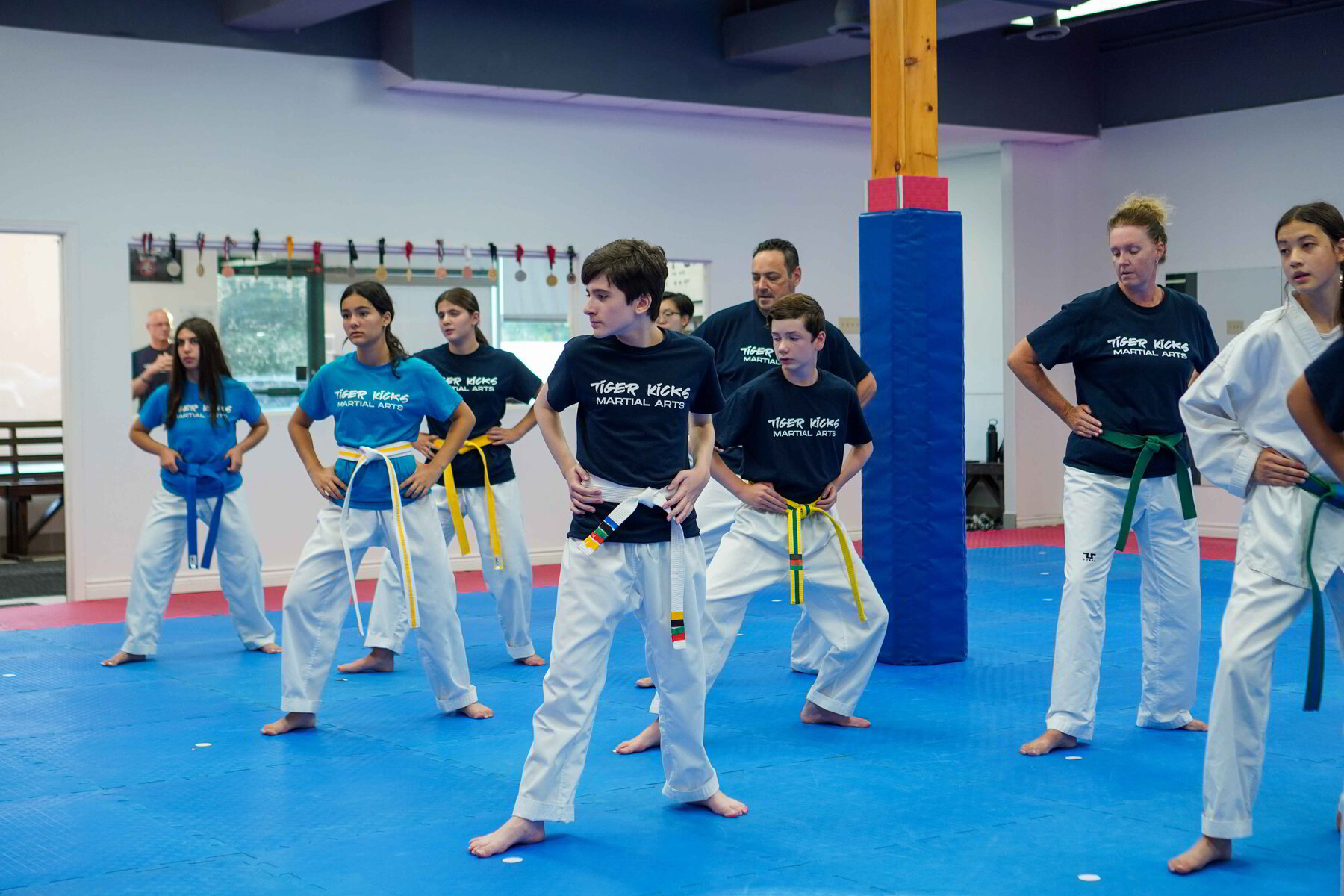 Tiger Kicks Martial Arts Programs in Richmond Hill and Vaughan