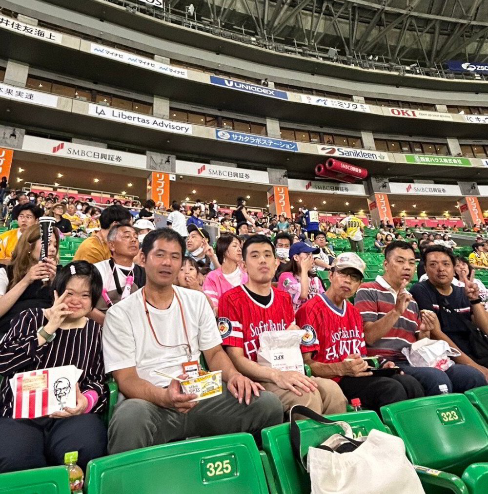 プロ野球観戦】