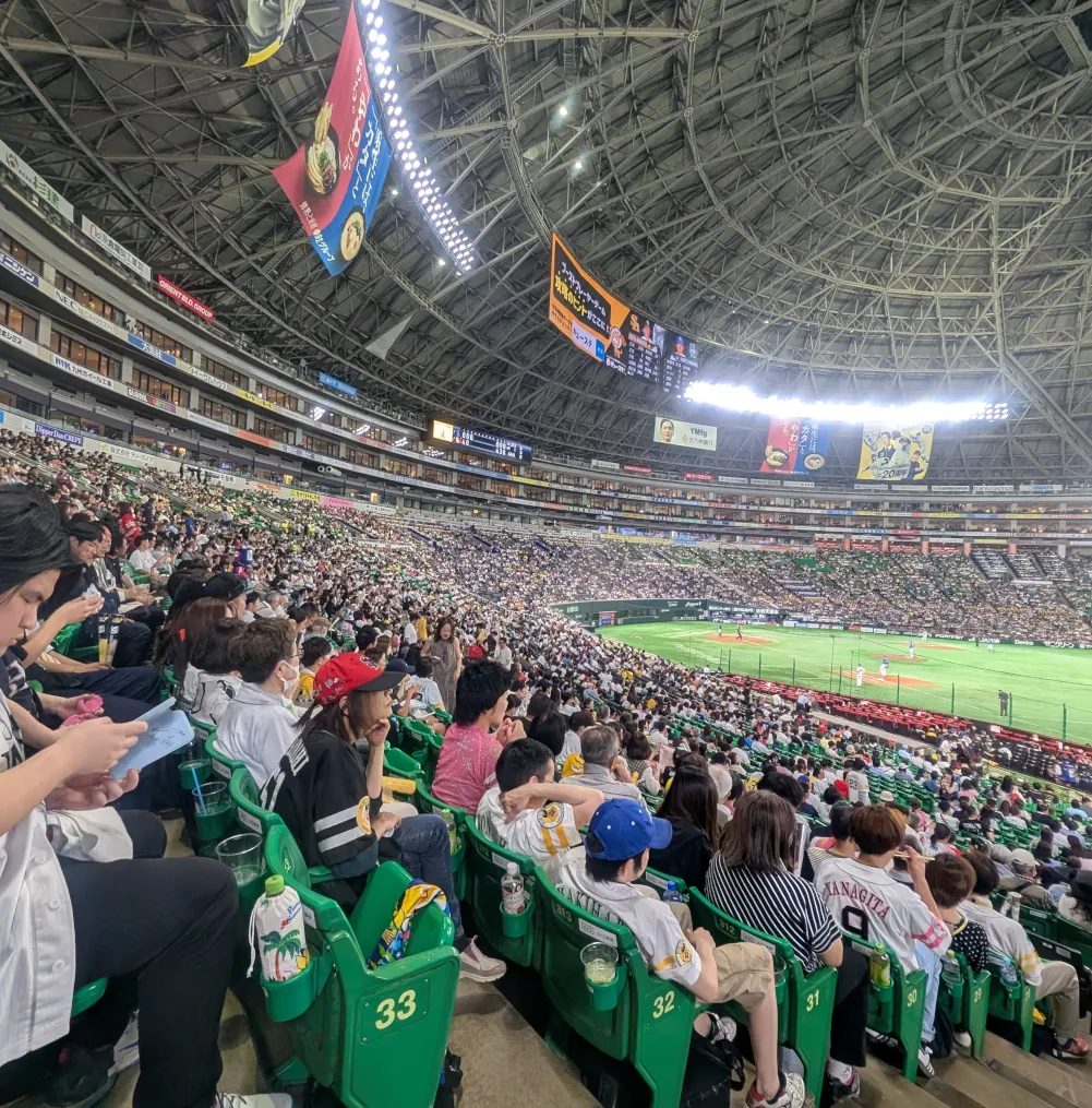 プロ野球観戦】