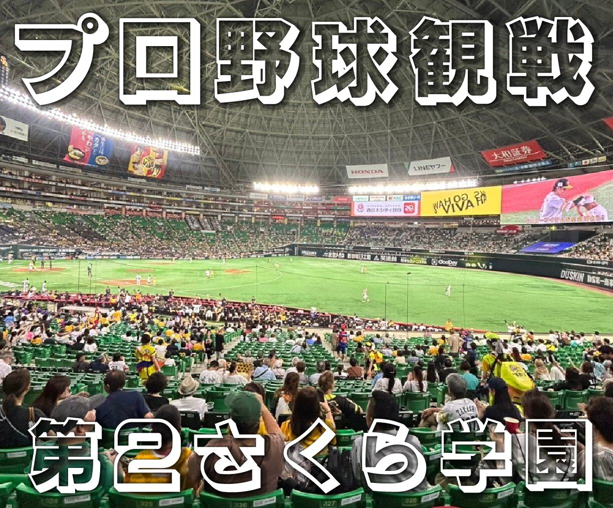 プロ野球観戦】