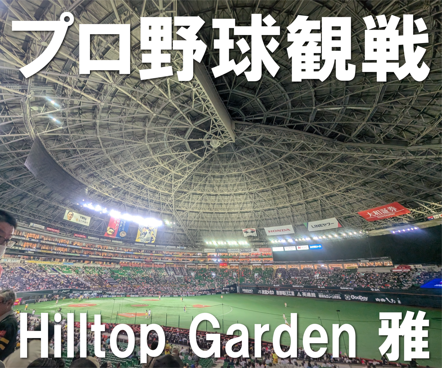 プロ野球観戦】